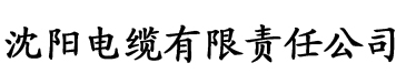 91香蕉视频苹果版电缆厂logo